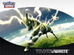 Pokémon tcg: black & white zebstrika tapeta