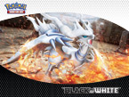 Pokémon tcg: black & white reshiram tapeta