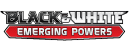 BW-Emerging Powers