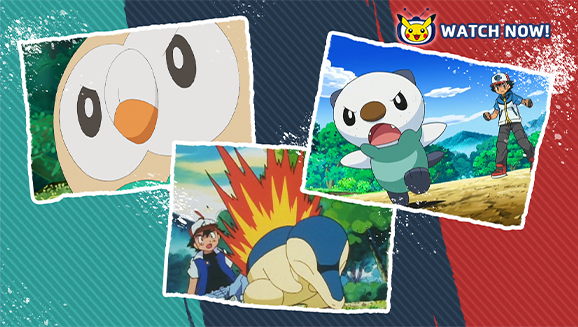 Revisit the First Partner Pokémon of Hisui on Pokémon TV
