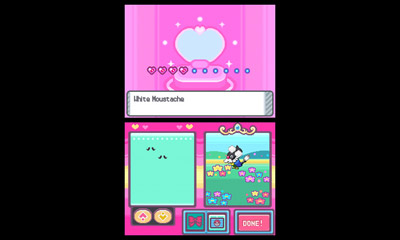 Pokémon Diamond & Pearl (2007), DS Game