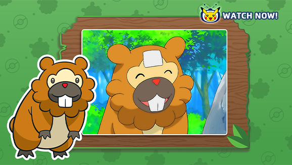 Celebrate Bidoof Day on July 1 with Activities, Rewards, and More ...