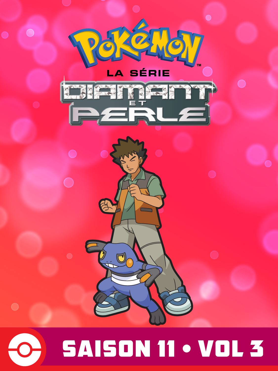 DP Battle Dimension Volume 3 Saison 11 de Pokémon la Série - 2010 DP Battle Dimension Volume 3 Saison 11 de Pokémon la Série - 2010