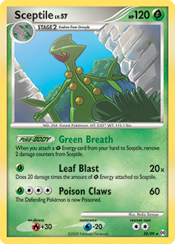 grovyle pokemon card