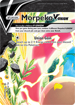 Morpeko V-UNION Top Left
