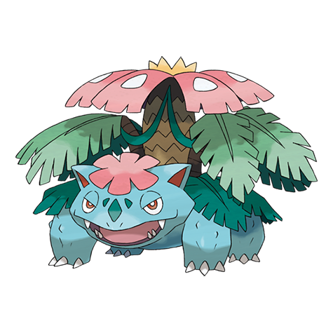 Maestro Pokemon. on X: Pokemon nº 3: Venusaur Tipo: planta/veneno 1º  Generación  / X