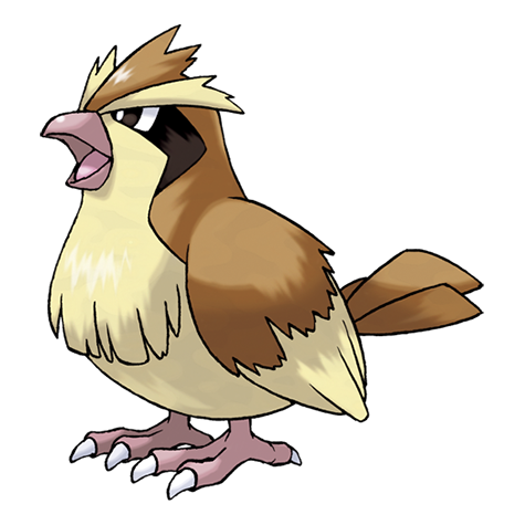 Pokemon Card Pidgey Normal Type Common Japanese Version No. 016