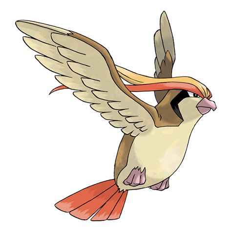 Pidgeot  Pokédex