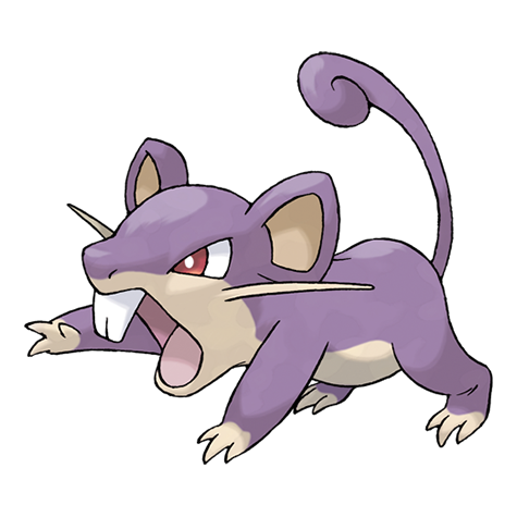 Image result for ataques de rattata