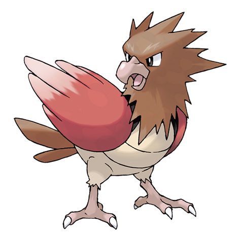 Fearow Pokedex