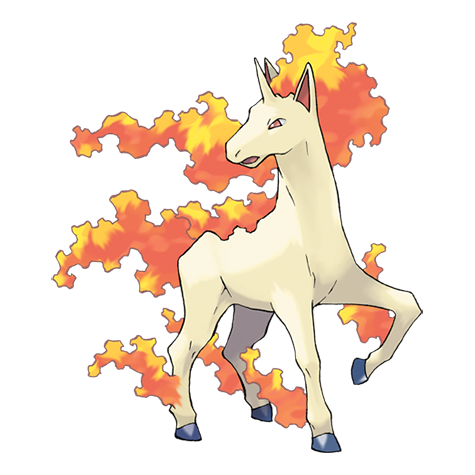 rapidash