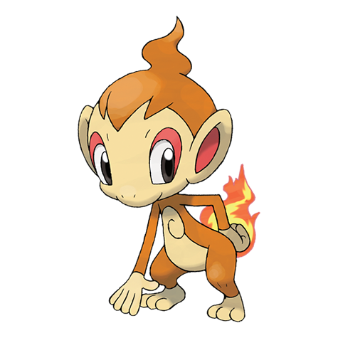 chimchar