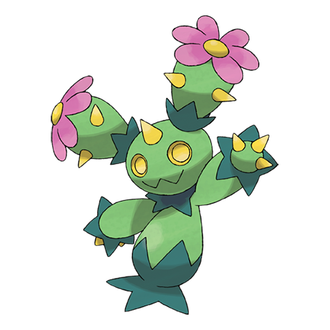 Maractus Evolution