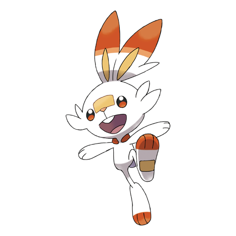 Scorbunny - #813 -  Pokédex