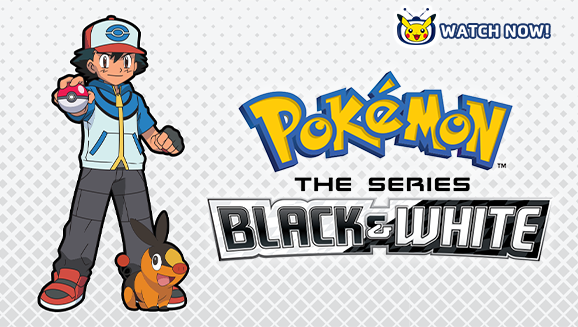 Pokémon Black & White Rival Destinies Battles for the Junior Cup on Home  Video!