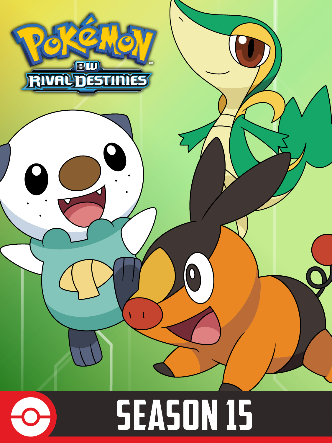 Pokémon: BW Rival Destinies