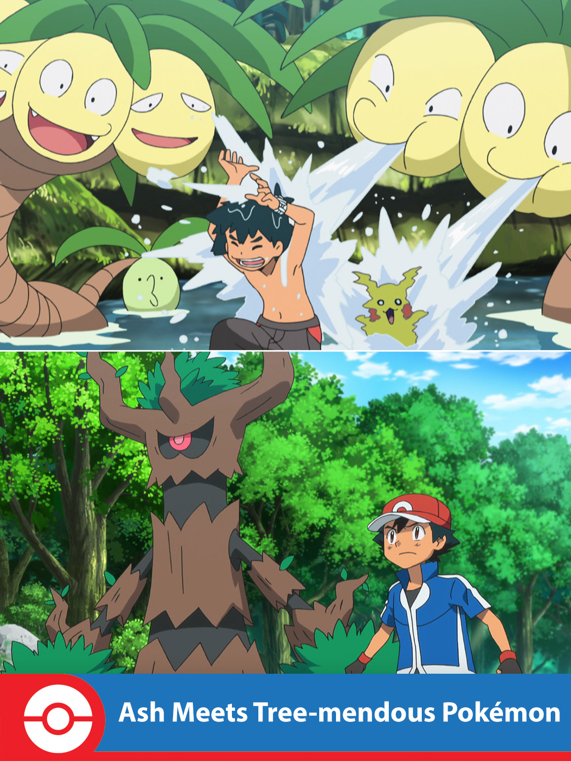 Ash Meets Tree-mendous Pokémon