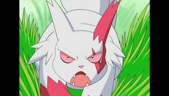 Zangoose i sikksakk