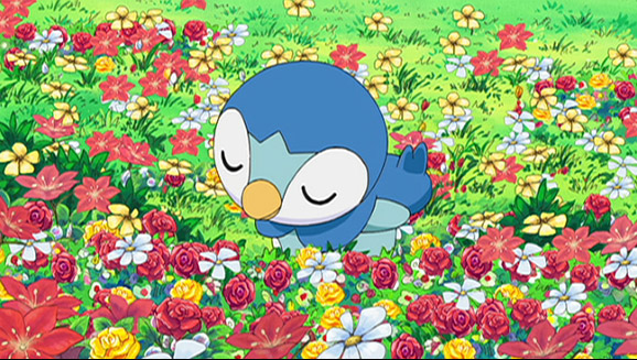 Piplup, daar ga je!