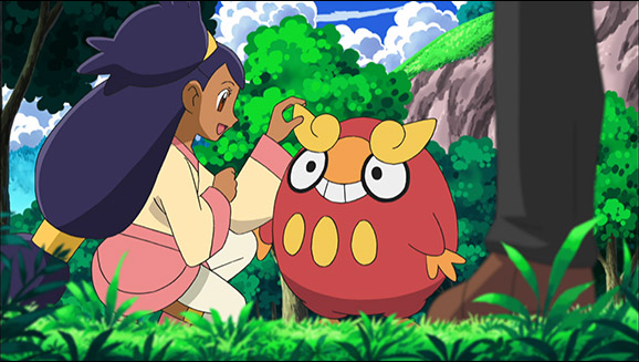 Darumaka, Wiki Pokémon Brasil