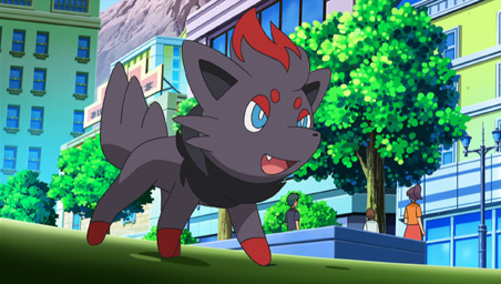 Movie Time! Zorua in "The Legend of the Pokémon Knight!"