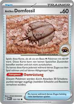 Antikes Domfossil