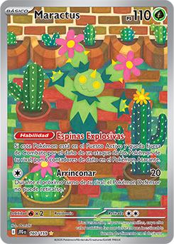 Maractus