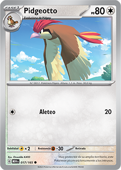 Pidgeotto