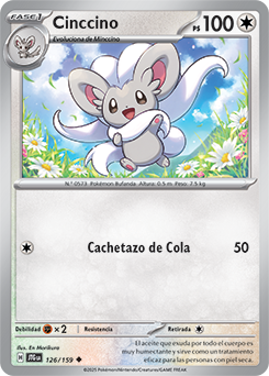 Cinccino