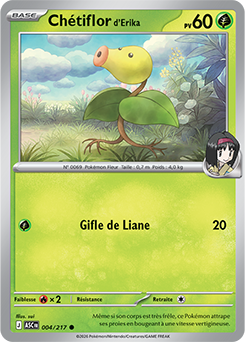 Chétiflor d’Erika