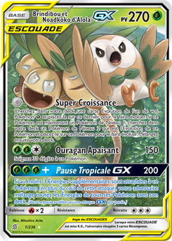 Brindibou et Noadkoko d’Alola-GX