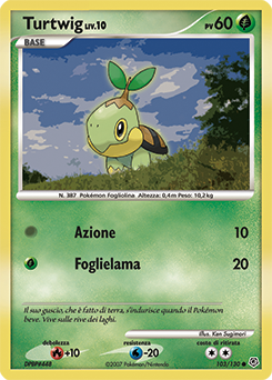 Turtwig