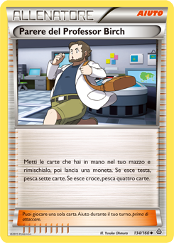 Parere del Professor Birch