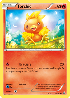 Torchic