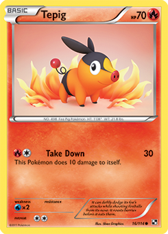 Tepig