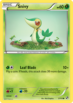 Snivy