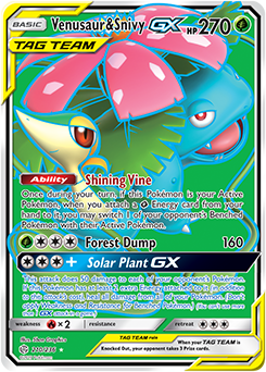 Venusaur & Snivy-GX