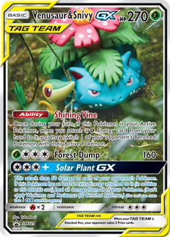 Venusaur & Snivy-GX