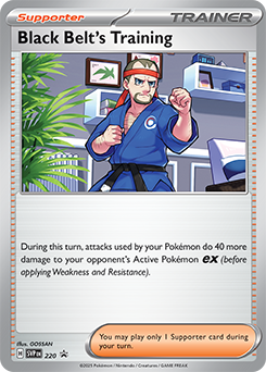 Black Belt's Training | Scarlet & Violet Promo | TCG Card Database