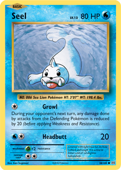 Seel