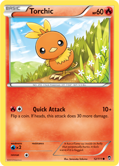 Torchic